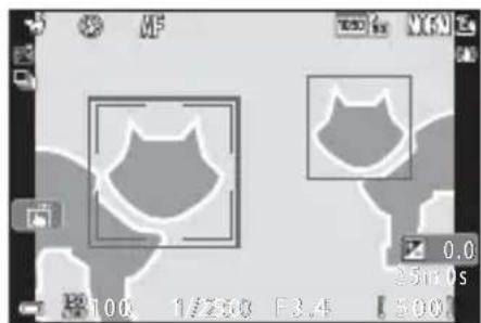 NIKON Coolpix A1000 - Zone de mise au point - 1