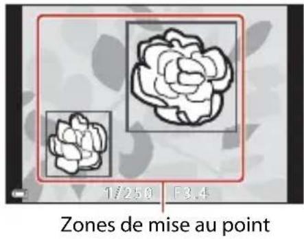 NIKON Coolpix A1000 - Utilisation de la fonction AF sur le sujet principal - 1