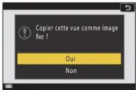NIKON Coolpix A1000 - Enregistrement d'une image d'une video en tant qu'image fixe - 2