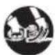 RYOBI RHT8165RL - SYMBOLS ON THE PRODUCT - 5