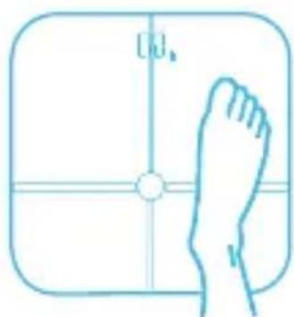 HUAWEI Body Fat Scale AH100 - Online metingen - 1