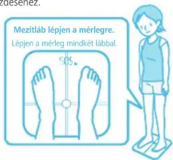 HUAWEI Body Fat Scale AH100 - Online mérés - 2