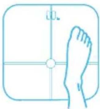 HUAWEI Body Fat Scale AH100 - Online meranie - 1