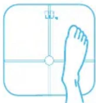 HUAWEI Body Fat Scale AH100 - Pomiar online - 1