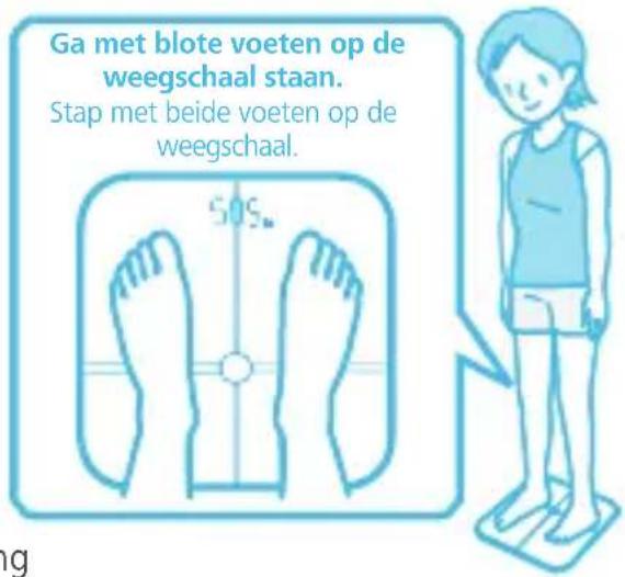 HUAWEI Body Fat Scale AH100 - Online metingen - 2