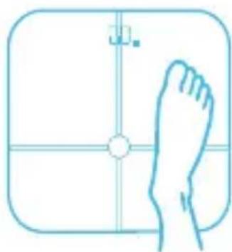 HUAWEI Body Fat Scale AH100 - Misurazione online - 1