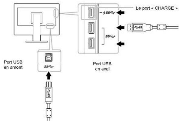 EIZO ColorEdge CG2420 - Procedure de connexion (installation de la fonction USB) - 1