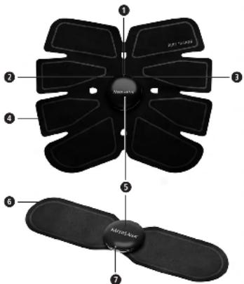 MEDISANA EMS Body Trainer 79524 - 1