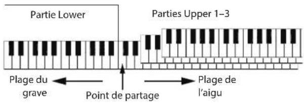 KORG EK50 - Choix de sons différents pour les moitiés gauche et droite du clavier (partage) - 1