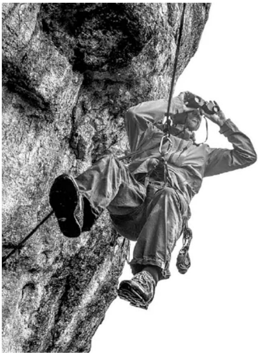 Steiner SkyHawk 4.0 10x42 - B - 5