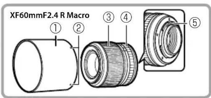 FUJIFILM XF 60mm f2.4 R Macro - g造期表的前记及前者 - 5