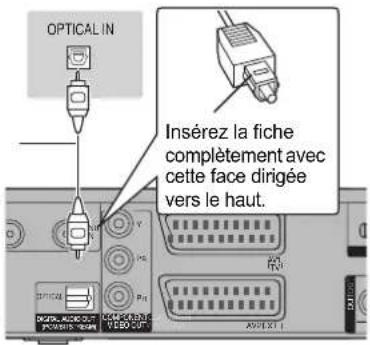 OPTICAL IN Insérez la fiche complètement avec cette face dirigée vers le haut. OFFICIAL P1 ADVERT. UACO OUT P2 ADVERT. UACO OUT VEBO OUT