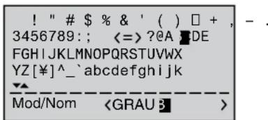 GRAUPNER MX20 HOTT - Nom du modele - 2