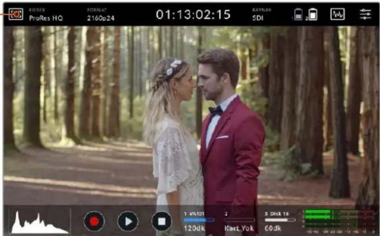 Blackmagic Design Video Assist - Otomatik Dimmer - 2