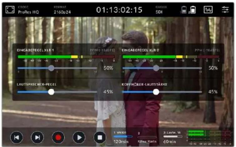 Blackmagic Design Video Assist - Audiokanäe aufzeichnen - 1