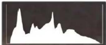 Blackmagic Design Video Assist - Display Histogram - 1