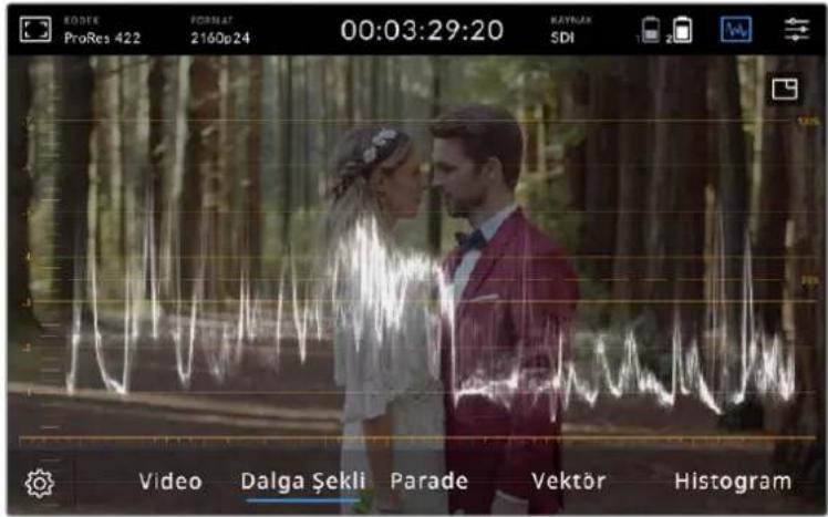 Blackmagic Design Video Assist - Dalga Sekli - 1