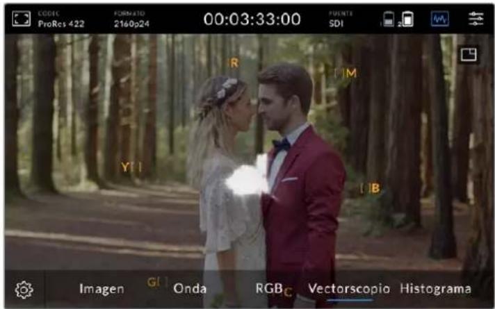 Blackmagic Design Video Assist - Vectorscopio - 1