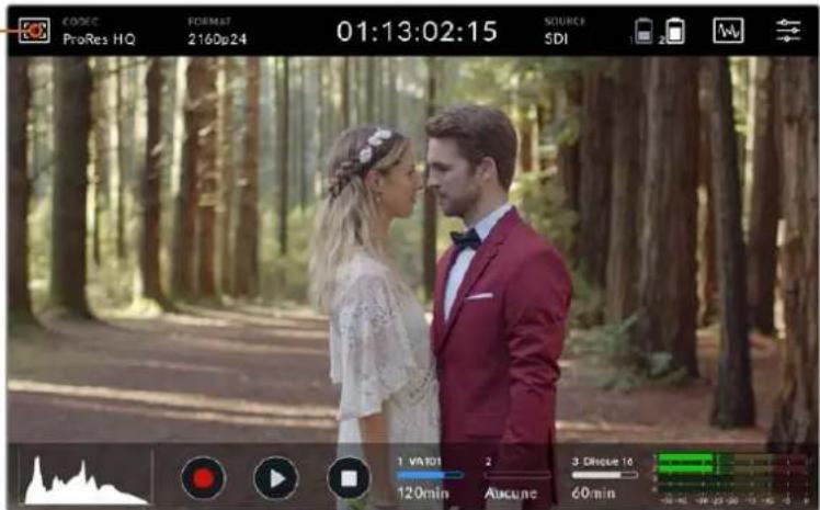 Blackmagic Design Video Assist - Diminution automatique - 2