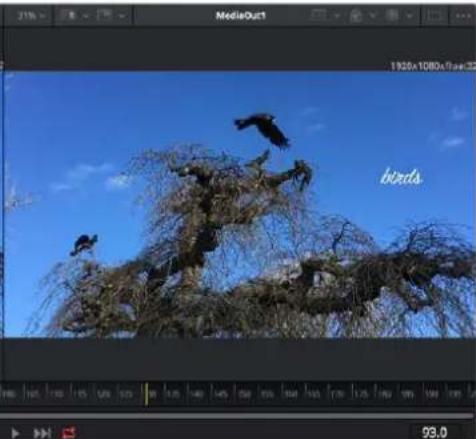 Blackmagic Design Video Assist - BILGI Görtunüleyici icine sürukleyip birakarak da bir dugumü bir görtunüleyiciye atayabilirsiniz. - 2