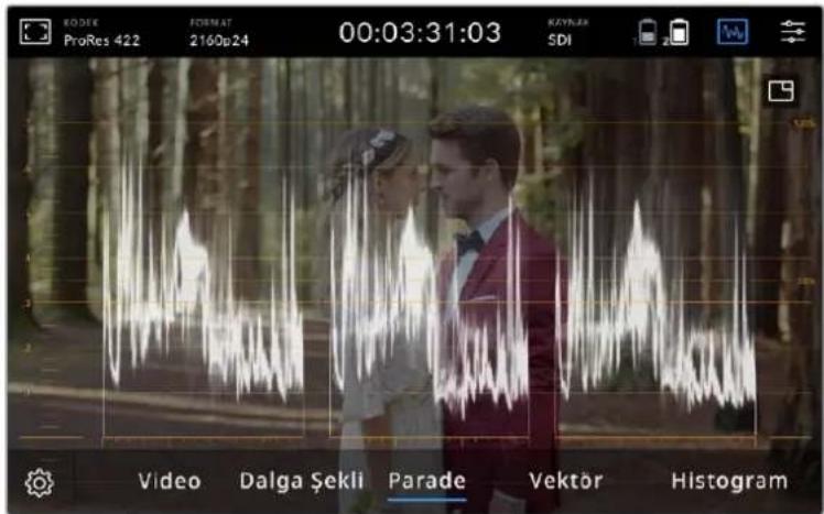 Blackmagic Design Video Assist - RGB Parade - 1