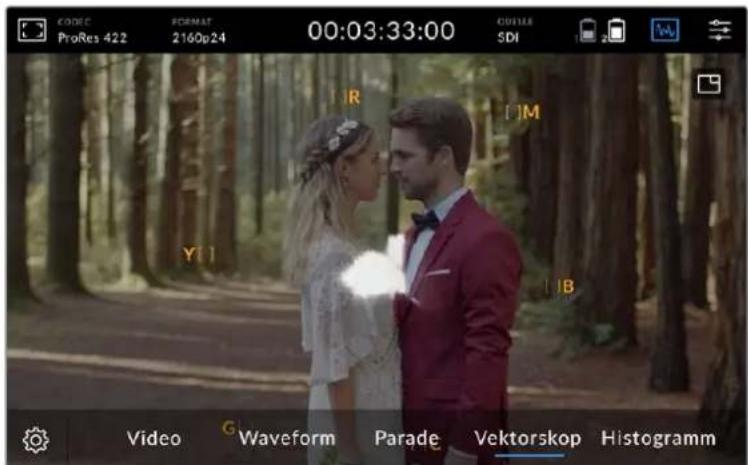 Blackmagic Design Video Assist - Vektorskop - 1