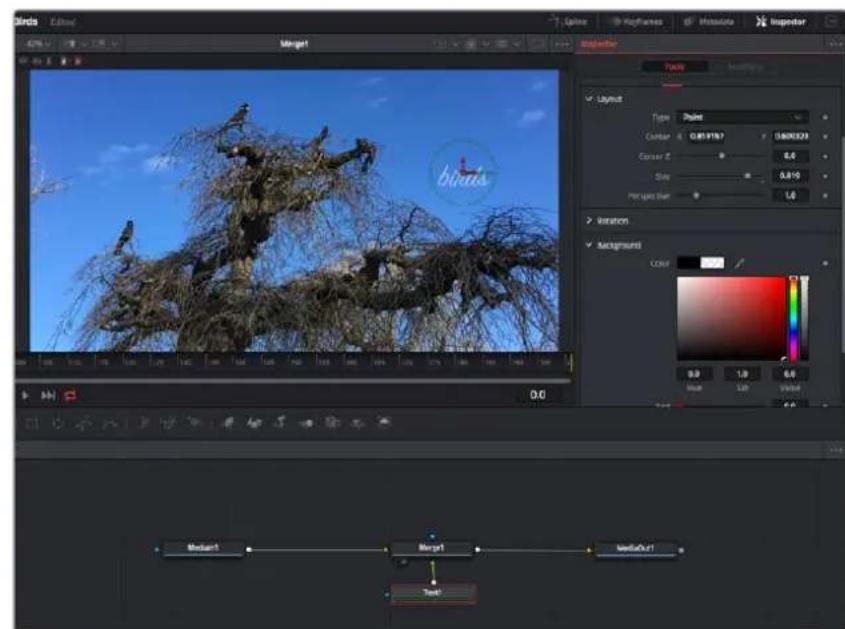 Blackmagic Design Video Assist - Anpassen von Nodes mit dem Inspector - 1