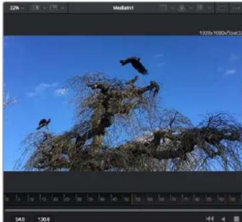 Blackmagic Design Video Assist - BILGI Görtunüleyici icine sürukleyip birakarak da bir dugumü bir görtunüleyiciye atayabilirsiniz. - 1