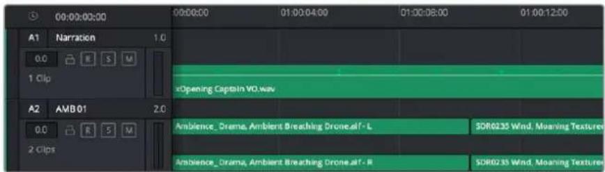 Blackmagic Design Video Assist - Ses ici Timeline - 1