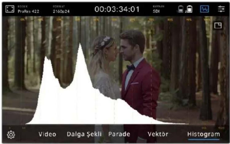 Blackmagic Design Video Assist - Histogram - 1