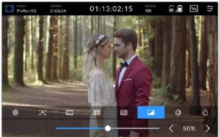 Blackmagic Design Video Assist - Sahte Renk Ozelligi - 3