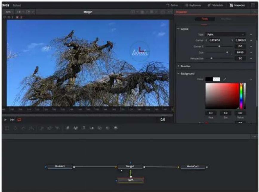 Blackmagic Design Video Assist - Ajustar nodos con el inspector - 1