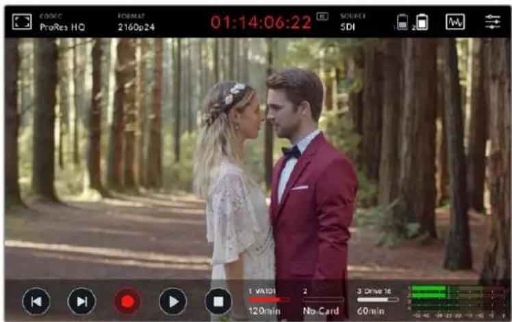 Blackmagic Design Video Assist - Recording - 1