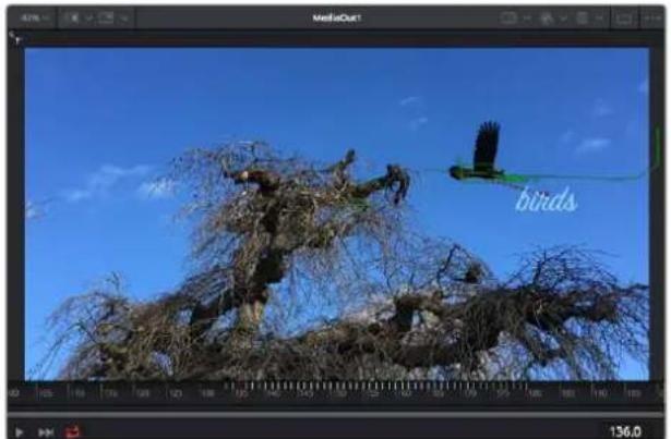 Blackmagic Design Video Assist - Usar la funciona de seguímente y/agregar textualo - 4