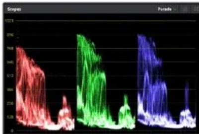 Blackmagic Design Video Assist - Representaciones gráficas - 1