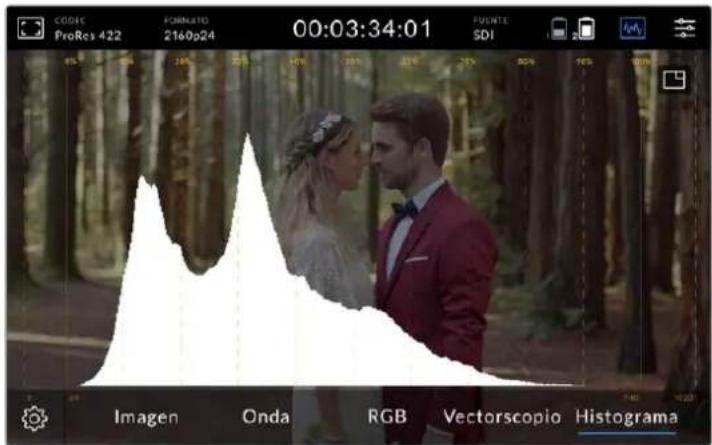 Blackmagic Design Video Assist - Paraaculargrafica delvectorscopio: - 1