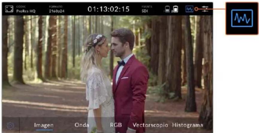 Blackmagic Design Video Assist - Representaciones grificas - 1