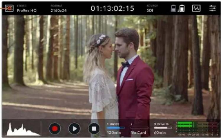 Blackmagic Design Video Assist - Auto Dim - 2
