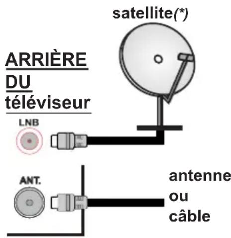 TOSHIBA 32W1733DG - Branchement de l'antenne - 1