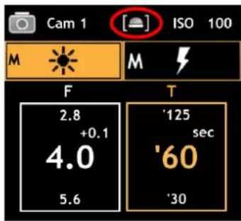 Gossen Digisky - Mesure lumière incidente – diffuseur sphérique - 2