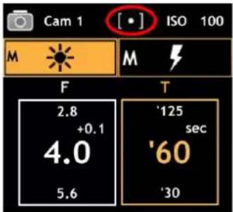 Gossen Digisky - i - 1