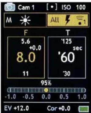 Gossen Digisky - Lumière flash - commande radio de la puissance / allumer la lumière pilote - 16