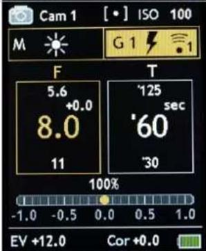 Gossen Digisky - Lumière flash - commande radio de la puissance / allumer la lumière pilote - 10