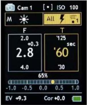 Gossen Digisky - Lumière flash - commande radio de la puissance / allumer la lumière pilote - 2