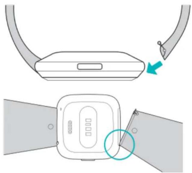 FITBIT Versa Lite - Attacher un bracelet - 1