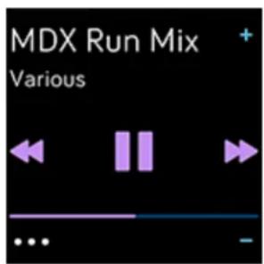 FITBIT Versa Lite - Commandes musicales - 1