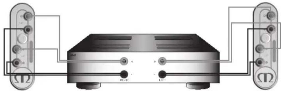 MONITOR AUDIO Gold 100 5G - Cablagem dupla - 2