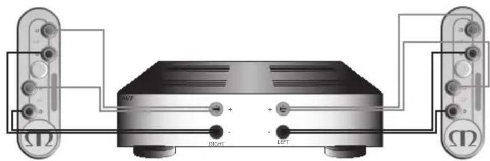MONITOR AUDIO Gold 100 5G - Dubbele bedrading - 2