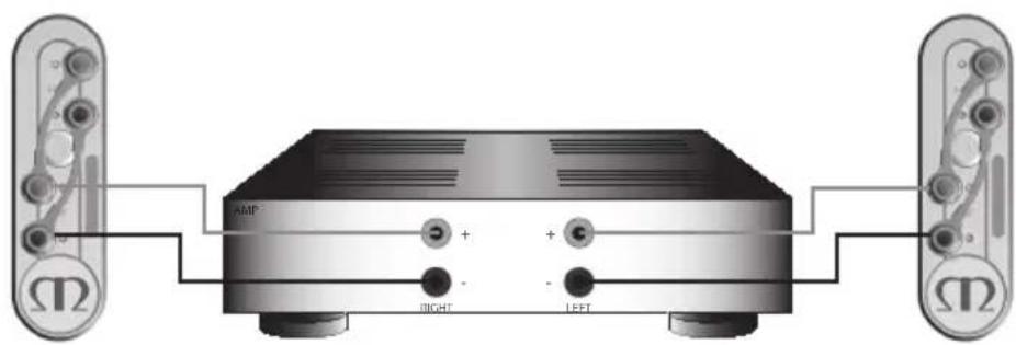 MONITOR AUDIO Gold 100 5G - Cablagem simples - 2