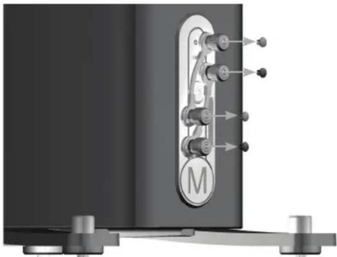 MONITOR AUDIO Gold 100 5G - Bananenstecker - 1